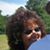 Jeannie B Rogess's profile image