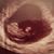 Toni Peckat's profile image