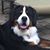 JoRose Rawding's profile image