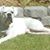 Charles Gray's profile image
