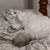 Regina Reece Messer's profile image