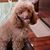Nancy Gruszeczki's profile image