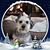 Kathy Klinebriel-Kline's profile image