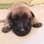 Teri Desrosiers's profile image