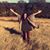 Raegan Carranza's profile image
