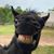 Kathy Scallan Dunham's profile image