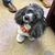 Kimberly Vincent Carter's profile image