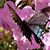 Maria Calderone Kenner's profile image