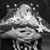 Dawn Hicks's profile image
