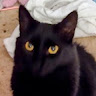 Lily S.'s profile image