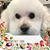 Judy Haas Bowns's profile image
