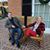 Jacquelyn Weatherby's profile image
