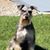 Sherry French's profile image