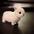 Darcy Oresky's profile image