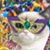 Andrea LaFitte Pifer's profile image