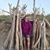 June Axelrad's profile image