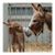 Jena Annet's profile image