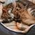 Judy Crowe Harrison's profile image