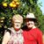 Judie Silvis's profile image