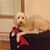 Bob Prinz's profile image