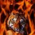 Joyce Bell's profile image