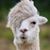 Beth Rufo's profile image