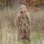 Joe Marlow's profile image