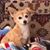 Lorena Apodaca's profile image