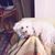 Elaine F Lovett's profile image