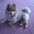 Tammy Shafer's profile image