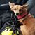 Jennifer Dorsey-Allaire's profile image