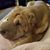 Aimee Kiefer Stevens's profile image
