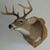 RL Jackson's profile image