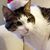 Jan Benefield's profile image
