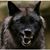 Gary Hossler Jr's profile image