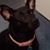 Sherry Dahlenburg's profile image