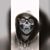 Gabriel Fass's profile image