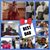 Barbara Raney Dartez's profile image