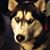 Scott Erickson's profile image