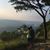 Barkakati Priya's profile image