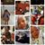 Brittany Deppen's profile image