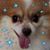 Adam Dorsett's profile image