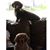 Wendy Scott's profile image