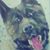 Ann Beard-Simmons's profile image