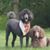 Brenda Peterson's profile image