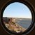 Julie Scheitlin Thorpe's profile image