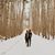 Sarah Thayer's profile image
