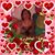 Alvida Jameslyons's profile image