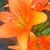 Allison Ulman-List's profile image