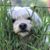 Joanne Hurley's profile image